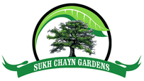 sukh-chayn-housing-estate